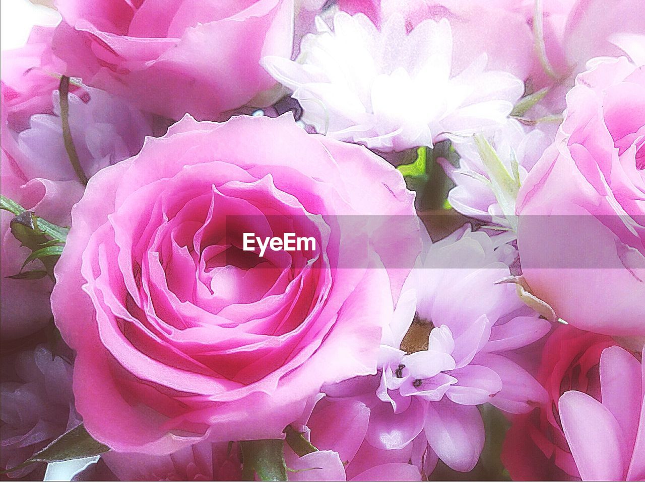 CLOSE-UP VIEW OF PINK FLOWER