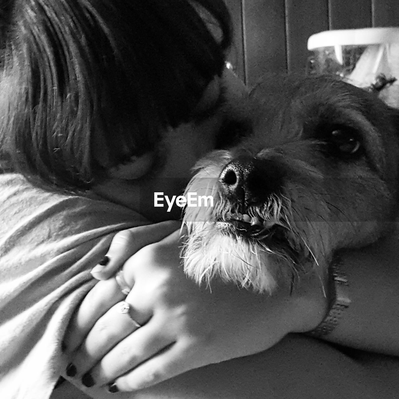 CLOSE-UP OF DOG STICKING OUT TONGUE ON HAND