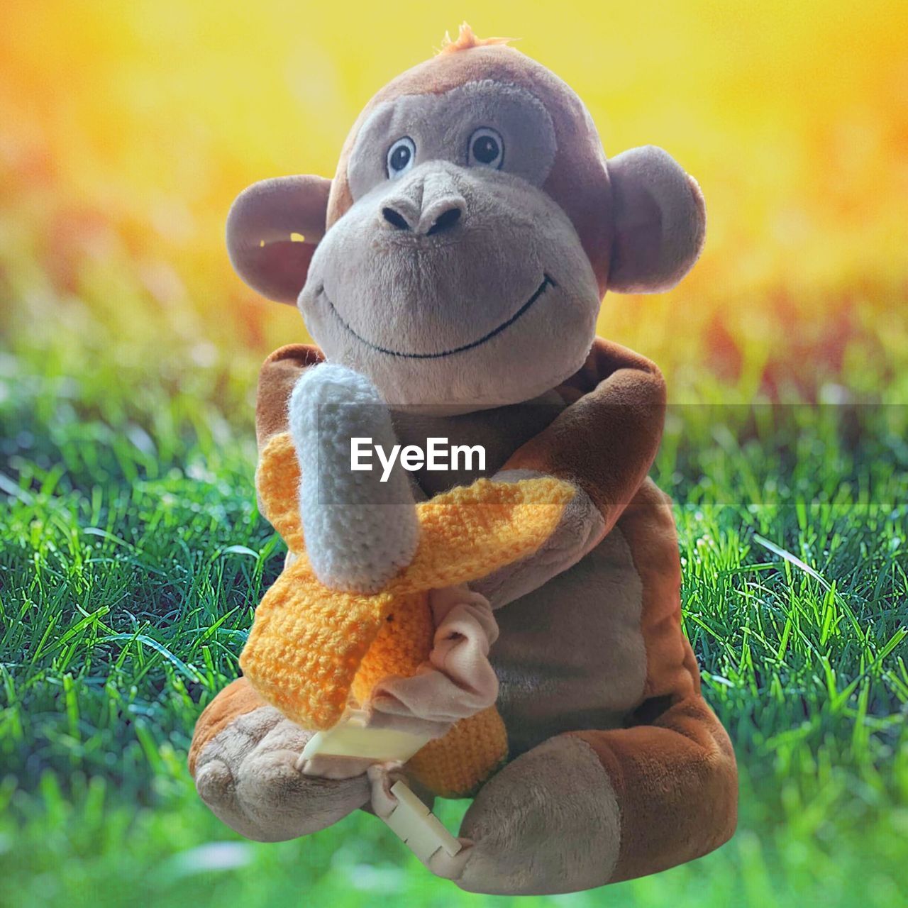 CLOSE-UP OF STUFFED TOY ON GRASS