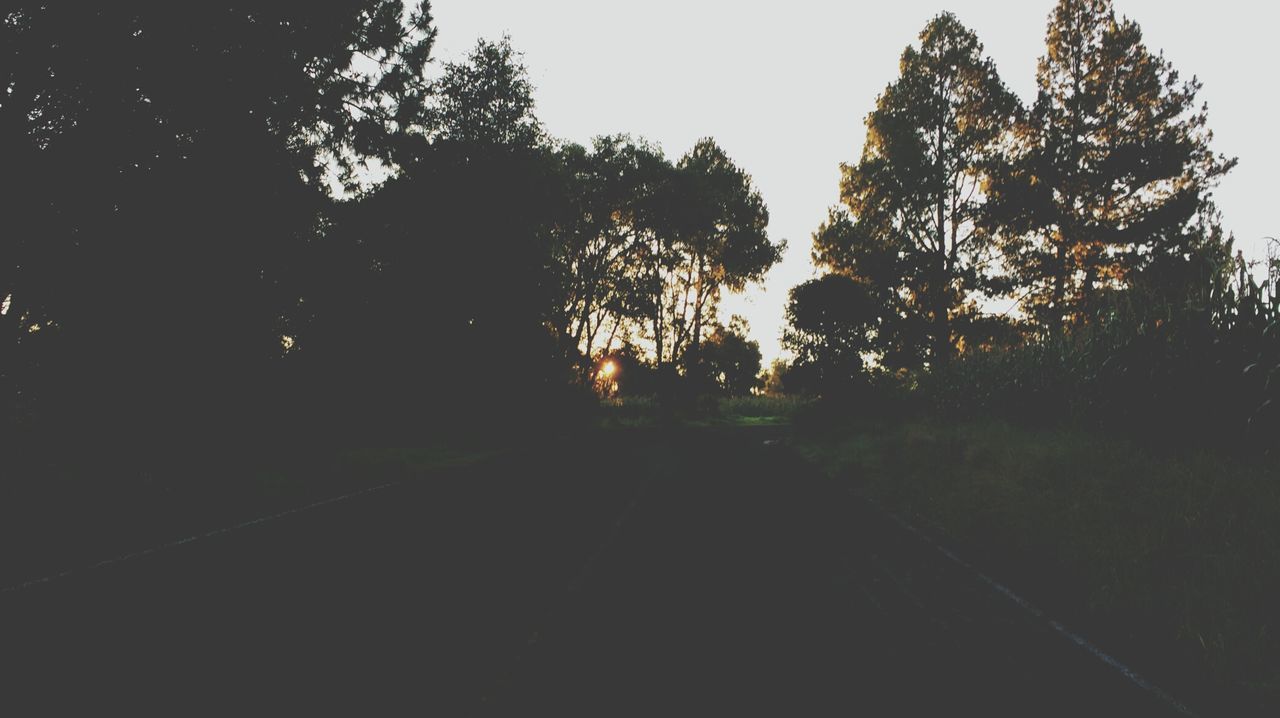 EMPTY ROAD WITH TREES IN BACKGROUND