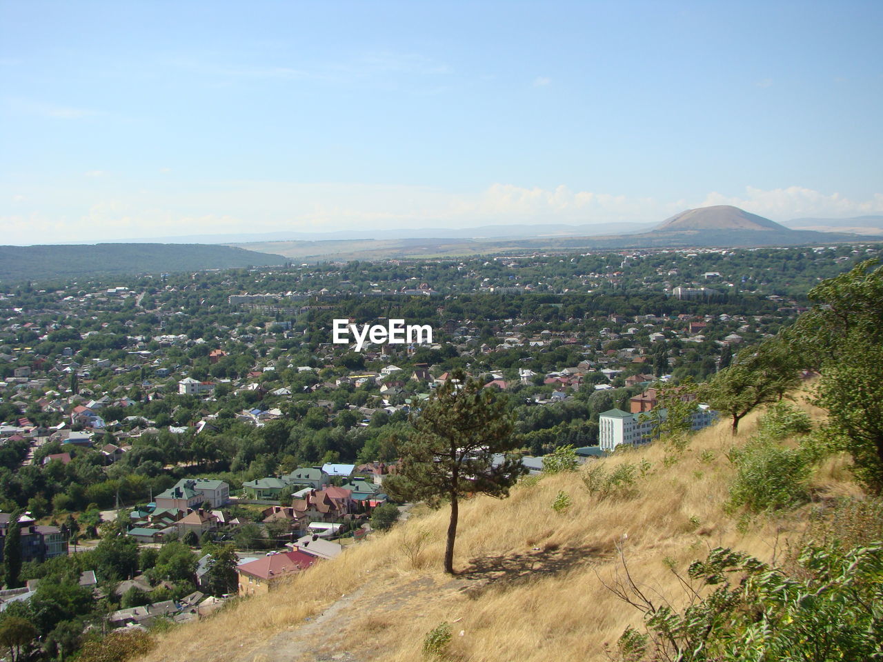 HIGH ANGLE VIEW OF TOWNSCAPE BY TREES AGAINST SKY