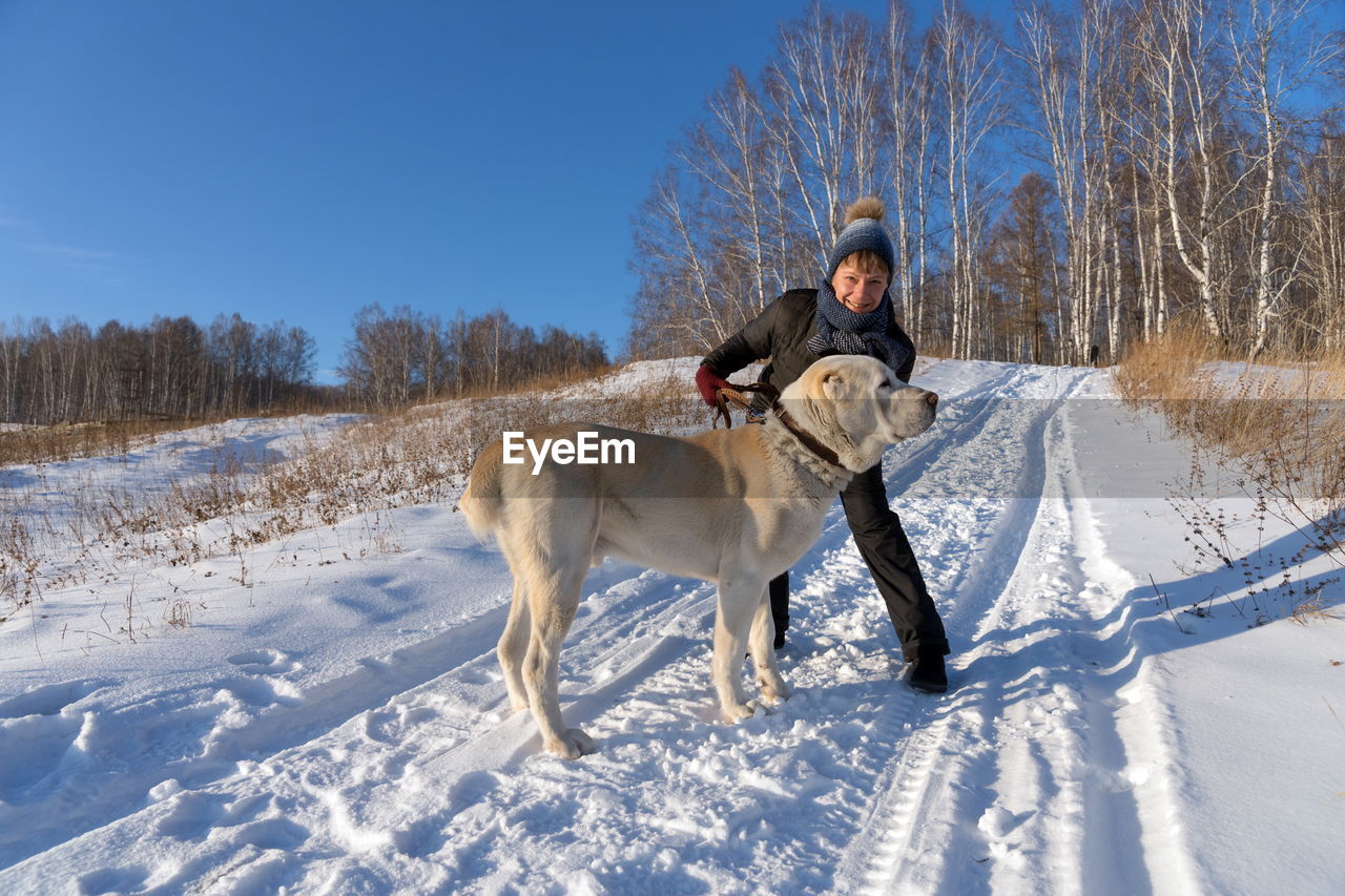 A woman is hugging a central asian shepherd on a winter rural road amid a birch grove.