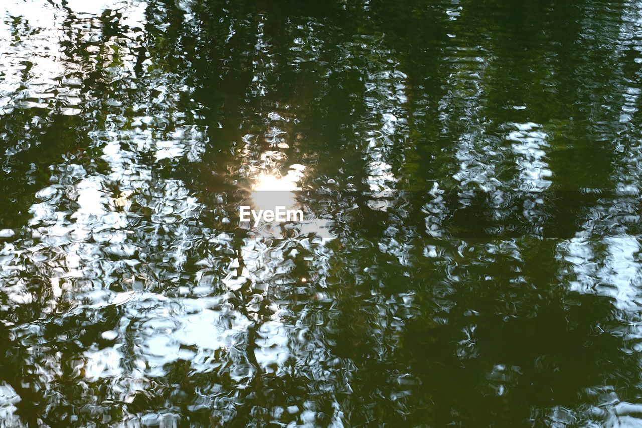 HIGH ANGLE VIEW OF TREES REFLECTION ON LAKE