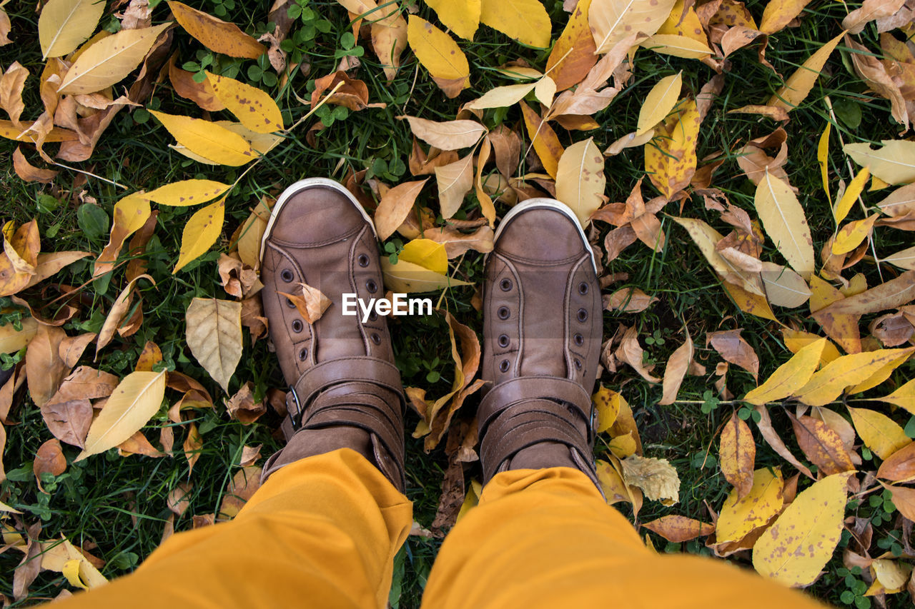 Low section of person standing on fallen autumn leaves