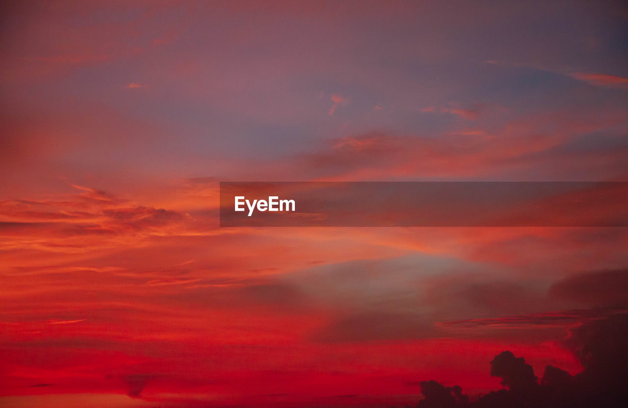 LOW ANGLE VIEW OF DRAMATIC SKY OVER SILHOUETTE TREES