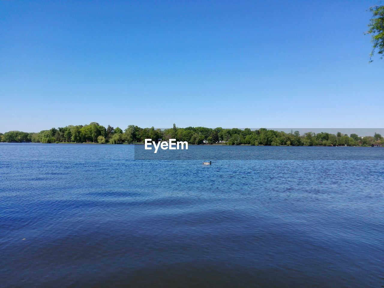 Scenic view of calm lake against clear sky