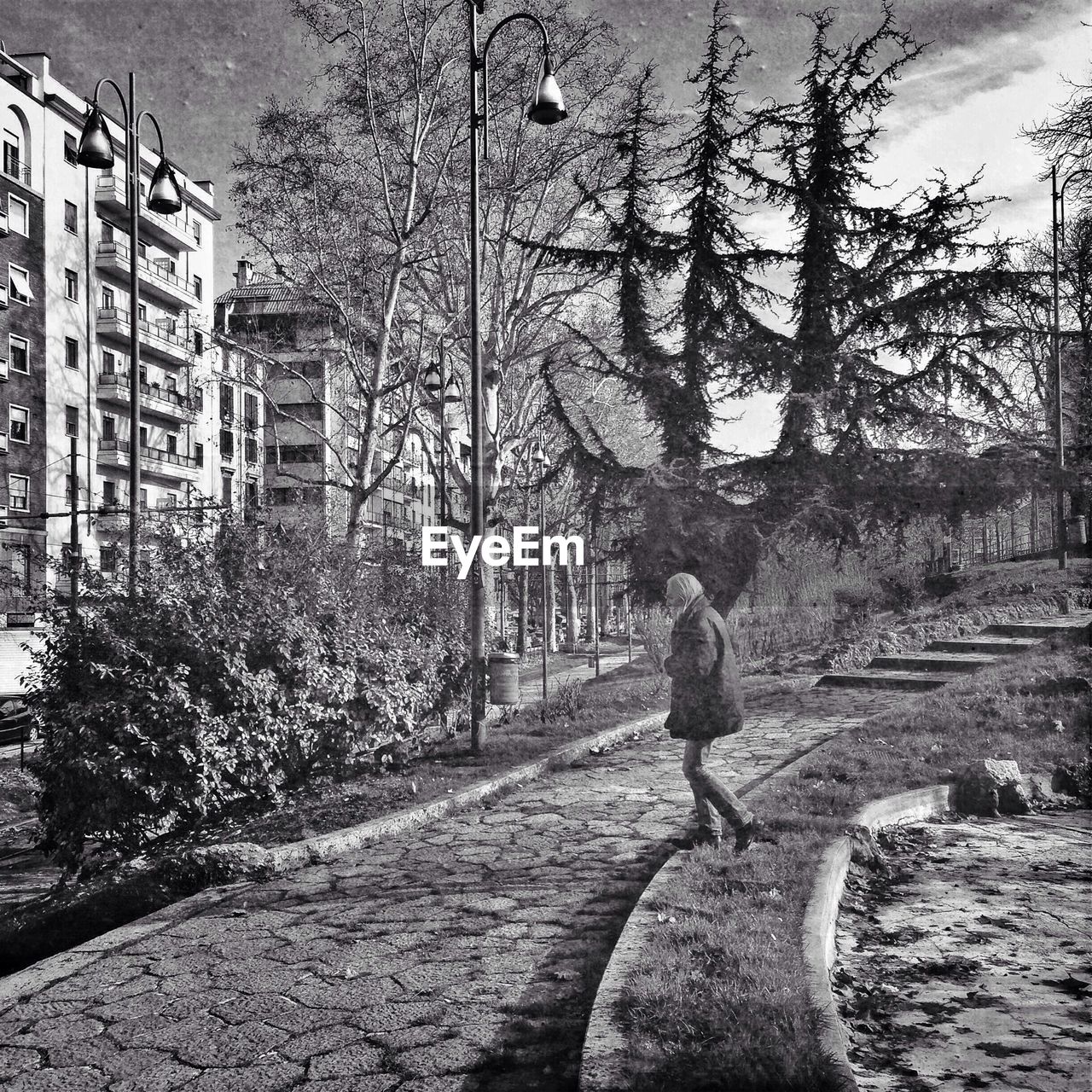 WOMAN STANDING ON TREE TRUNK