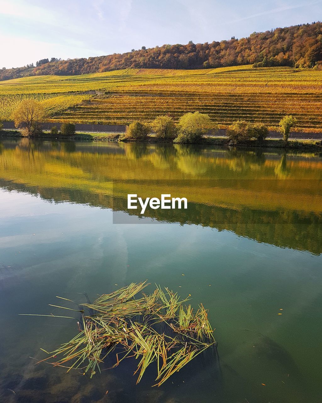 SCENIC VIEW OF AGRICULTURAL LANDSCAPE