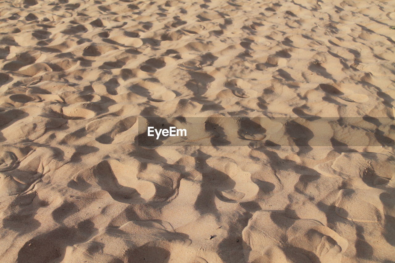 FULL FRAME SHOT OF SAND DUNES