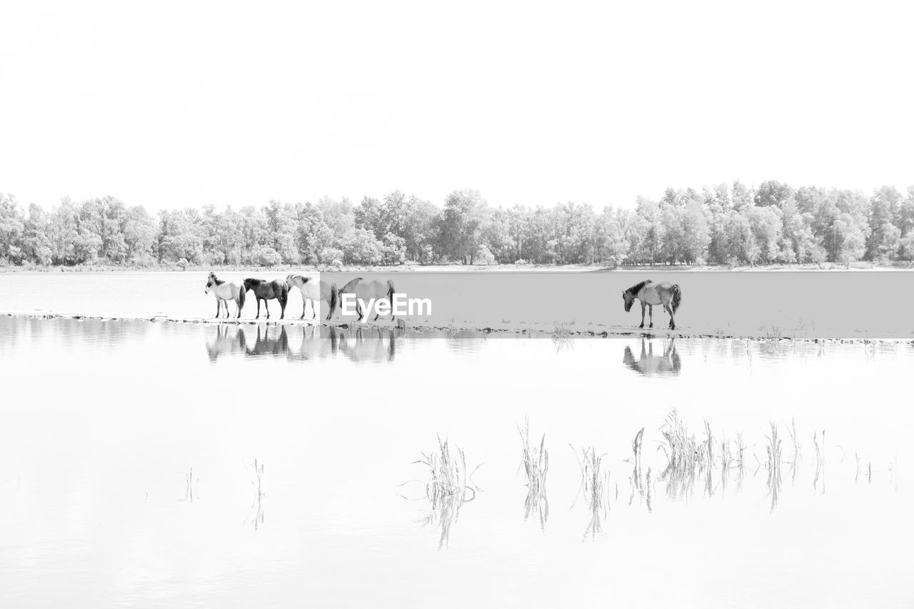 SCENIC VIEW OF A LAKE