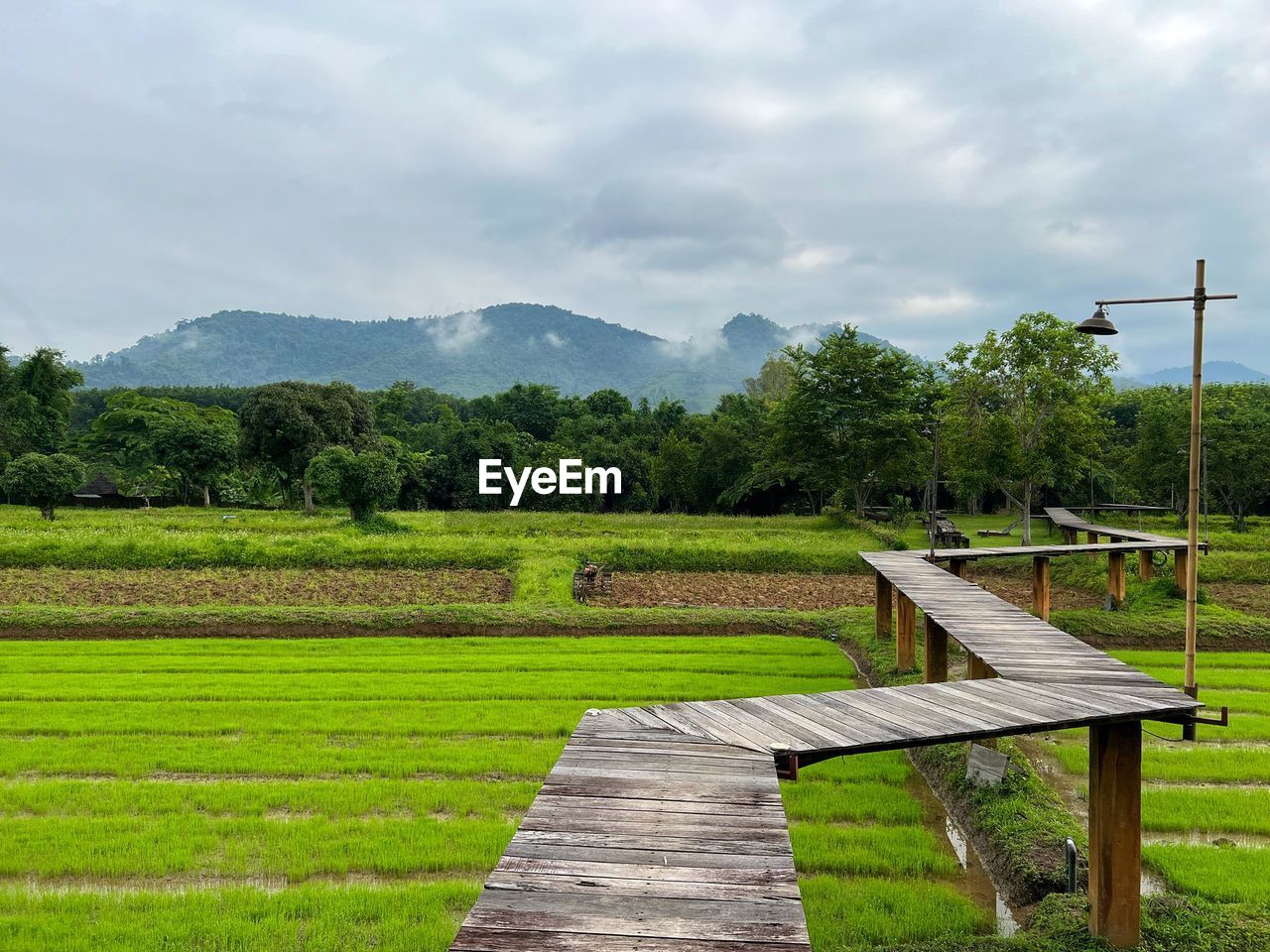 plant, landscape, tree, sky, rural area, environment, nature, grass, green, mountain, scenics - nature, land, cloud, beauty in nature, field, rural scene, wood, no people, tranquility, agriculture, tranquil scene, farm, outdoors, paddy field, day, meadow, non-urban scene, pasture, mountain range, growth, water, architecture, bench, travel destinations, empty, footpath