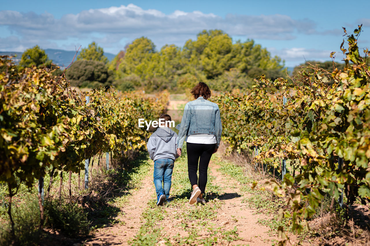 Mother and son taking a walk through a vineyards