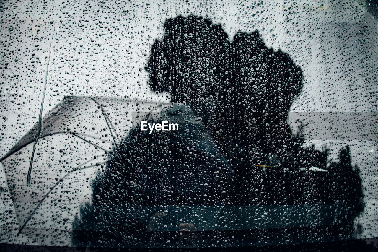 Reflection of trees and umbrella on wet window