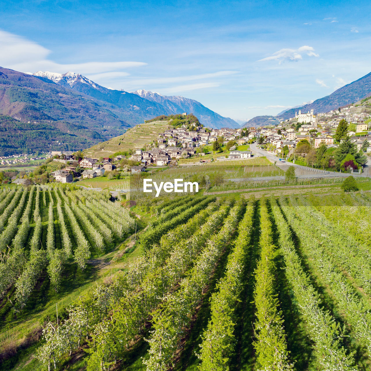 PANORAMIC VIEW OF AGRICULTURAL FIELD AGAINST SKY