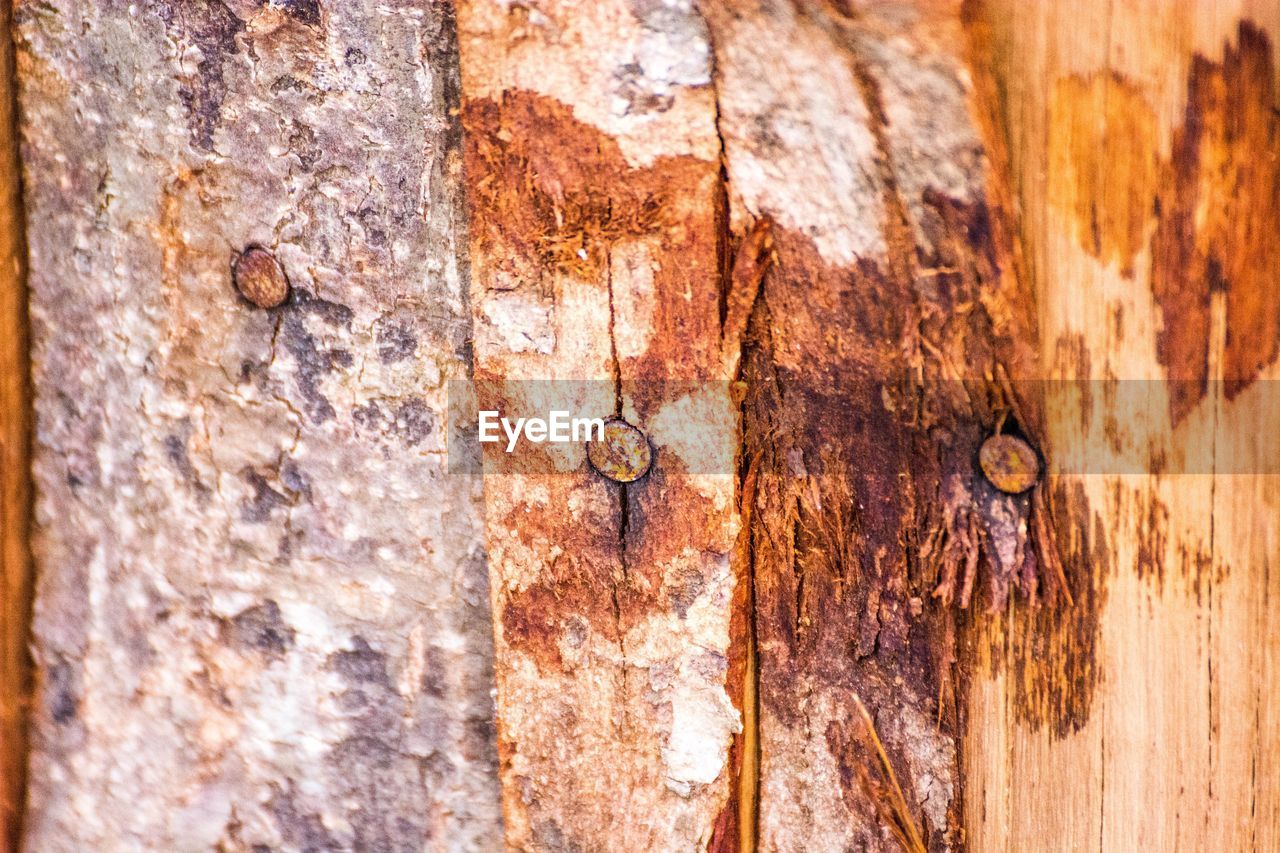 FULL FRAME SHOT OF WOODEN WALL