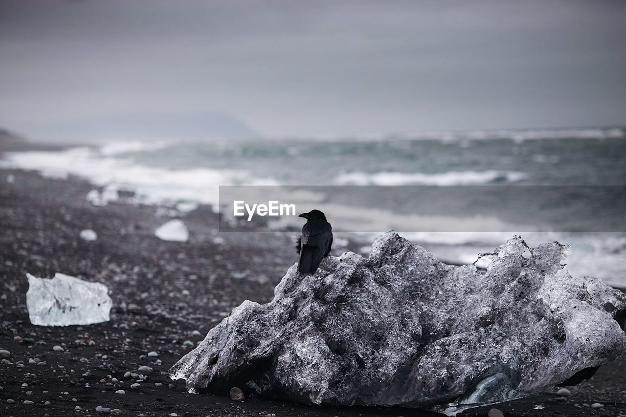 Scenic view of rocks on beach against sky