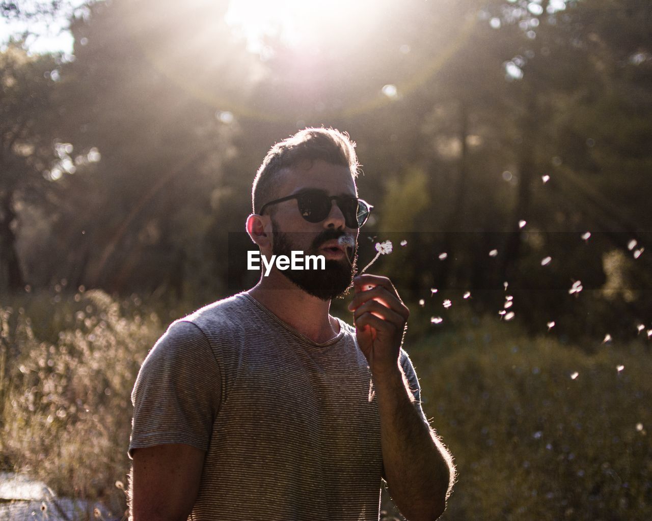 Portrait of young man wearing sunglasses