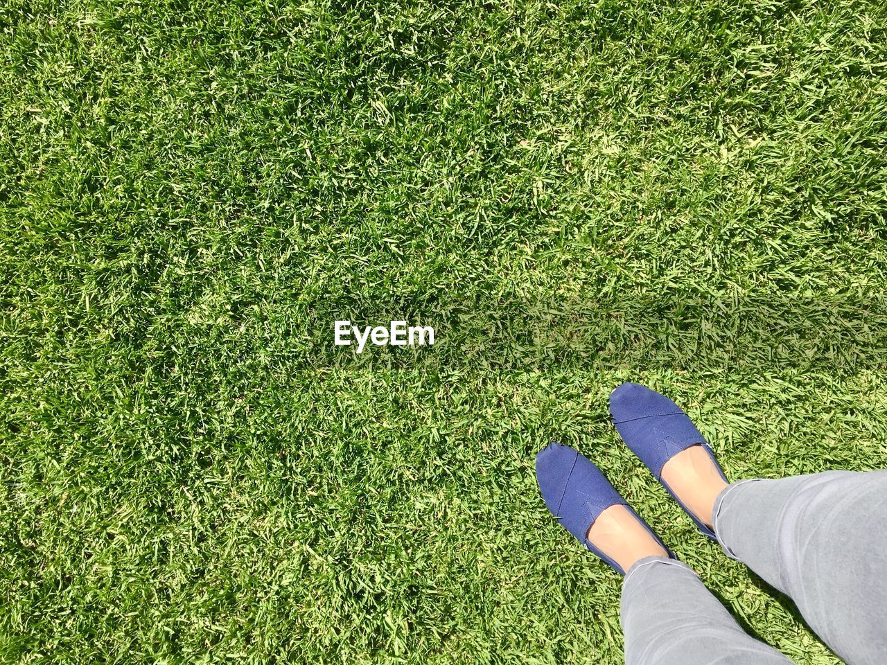 HIGH ANGLE VIEW OF WOMAN ON FIELD