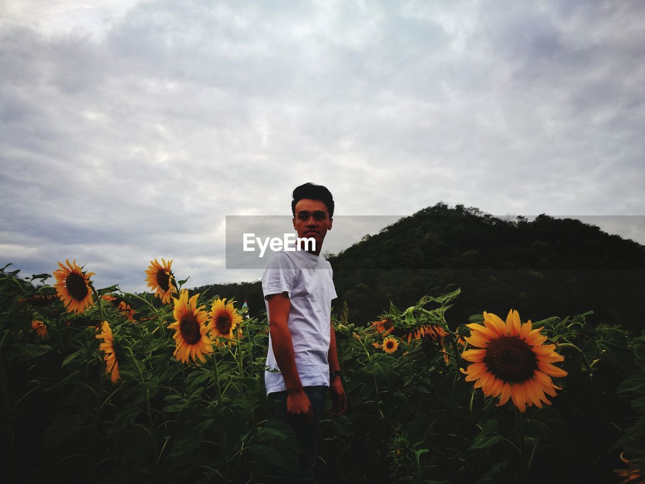 Young man standing on sunflower farm against cloudy sky