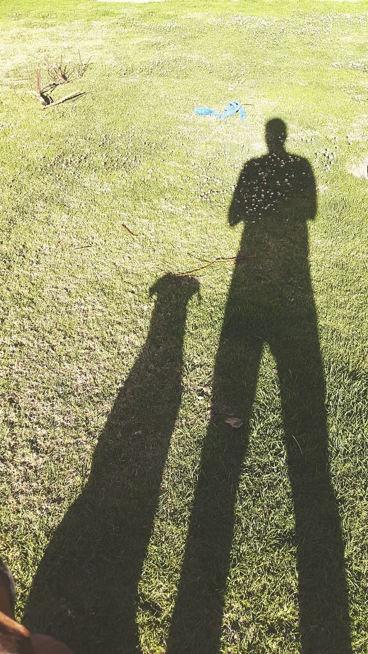 Shadow of man and dog on grassy field