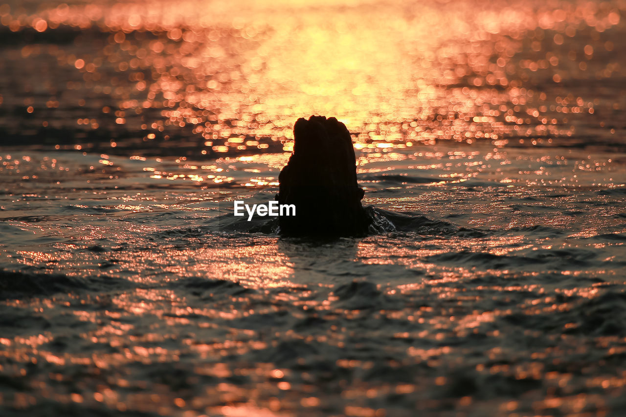 SILHOUETTE PERSON SWIMMING IN SEA AT SUNSET