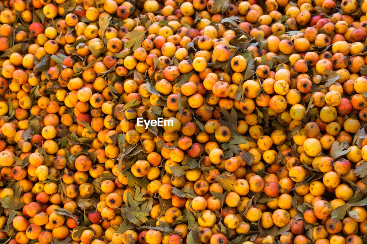 FULL FRAME SHOT OF ORANGES