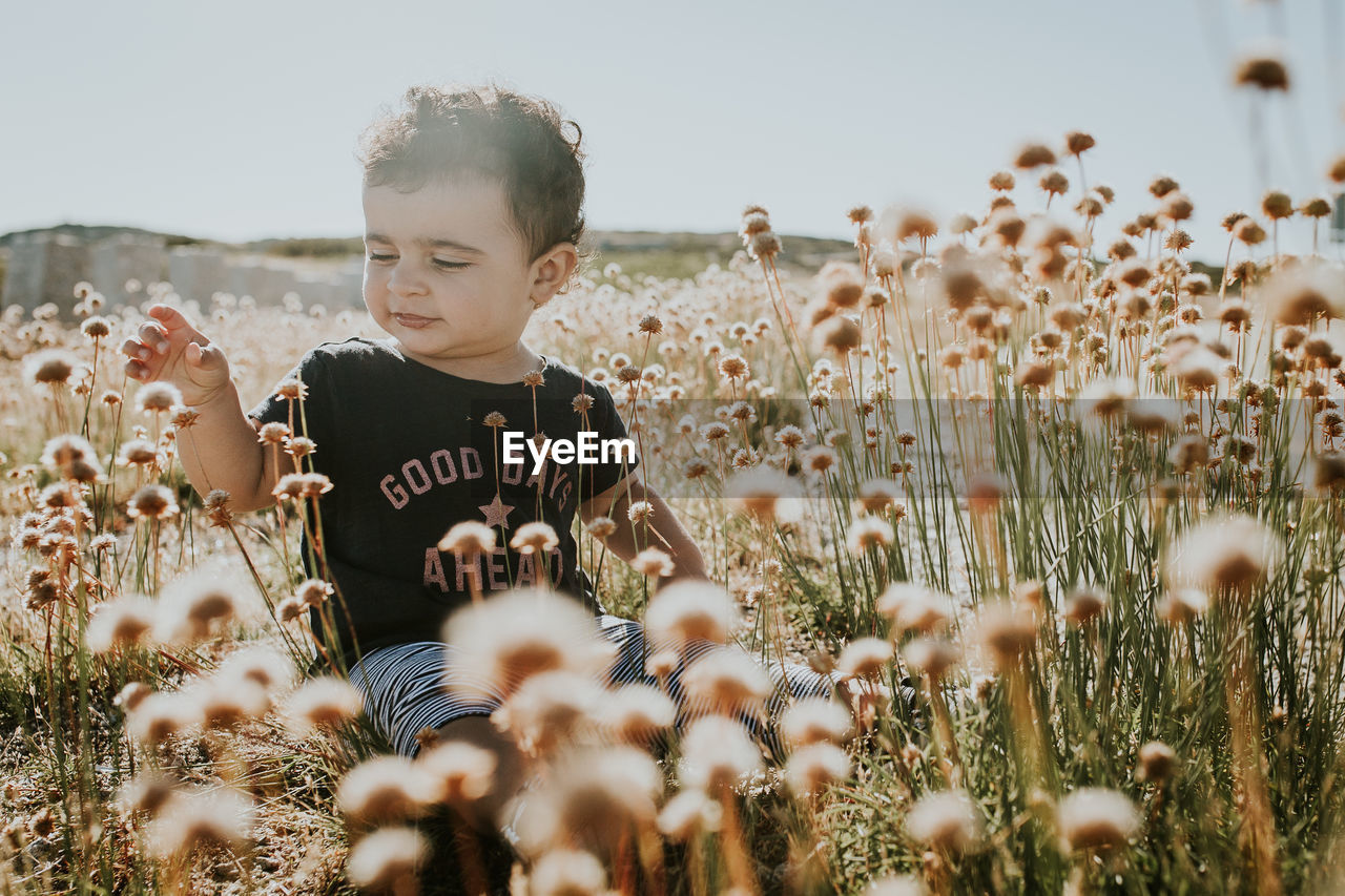 Cute girl sitting amidst flowers against sky