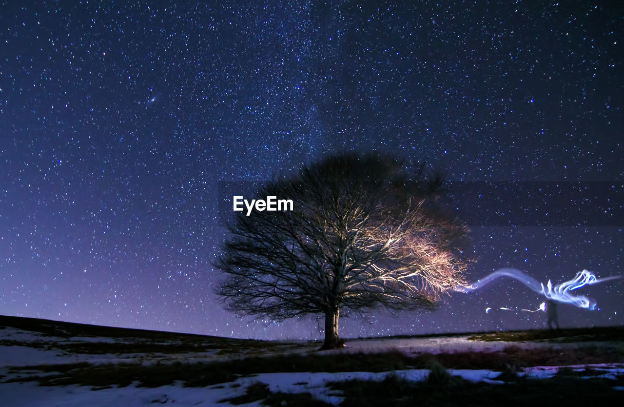 Scenic view of tree under starry sky