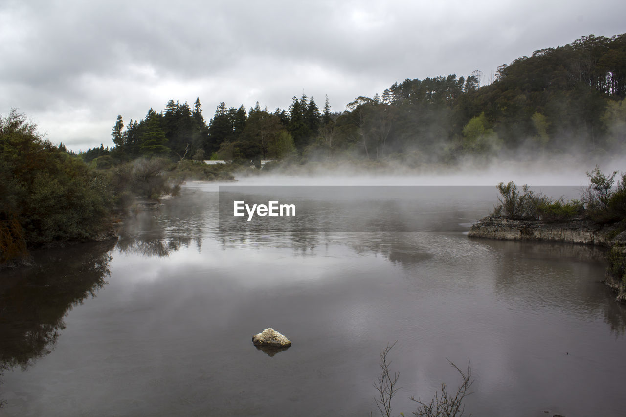 Misty forest and river landscape