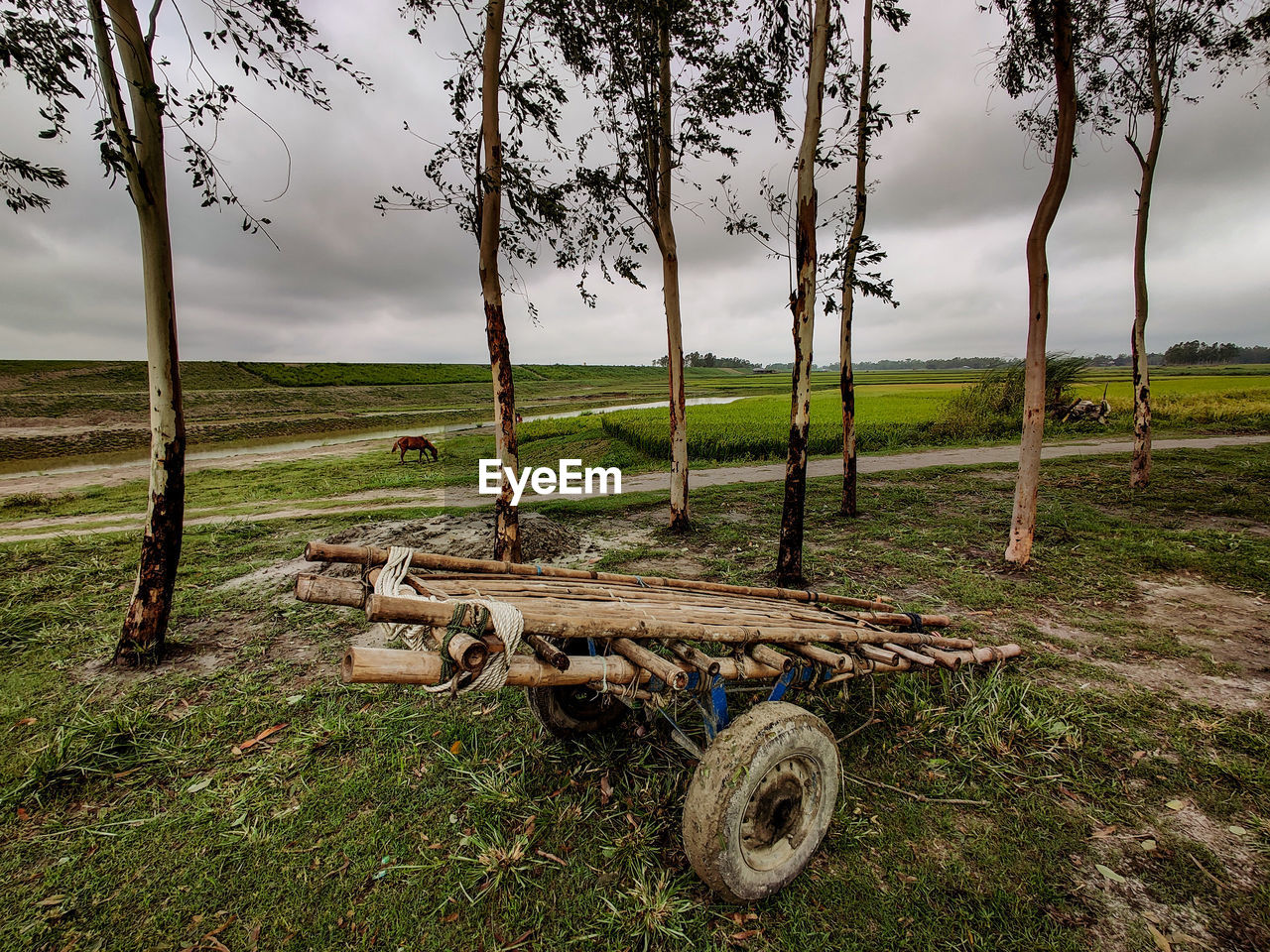 Abandoned cart on field against sky