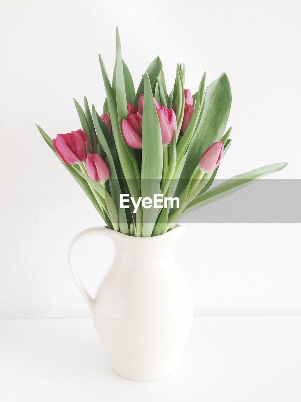 A bouquet of pink tulips in a white jar against white background