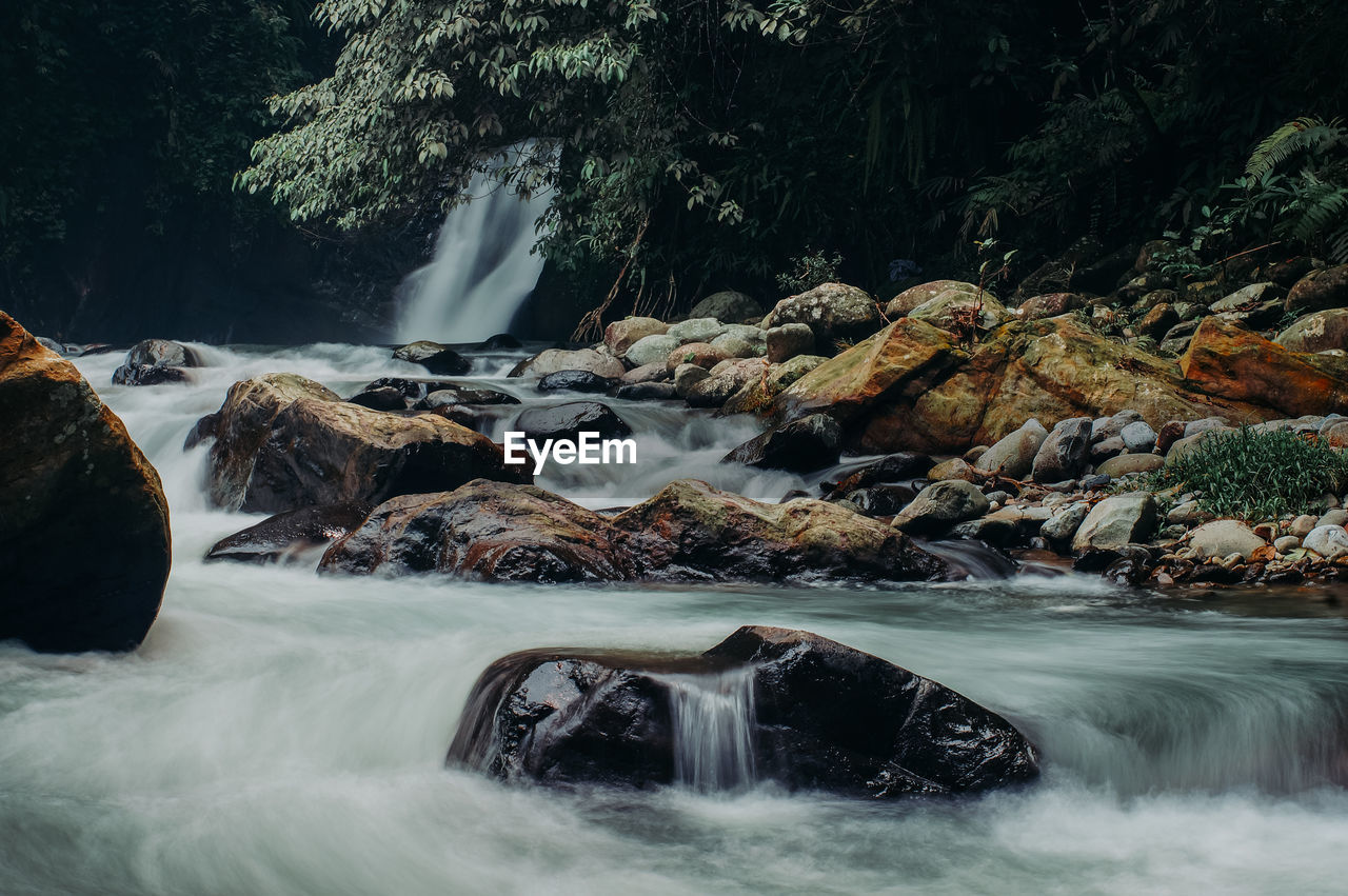 WATERFALL IN FOREST