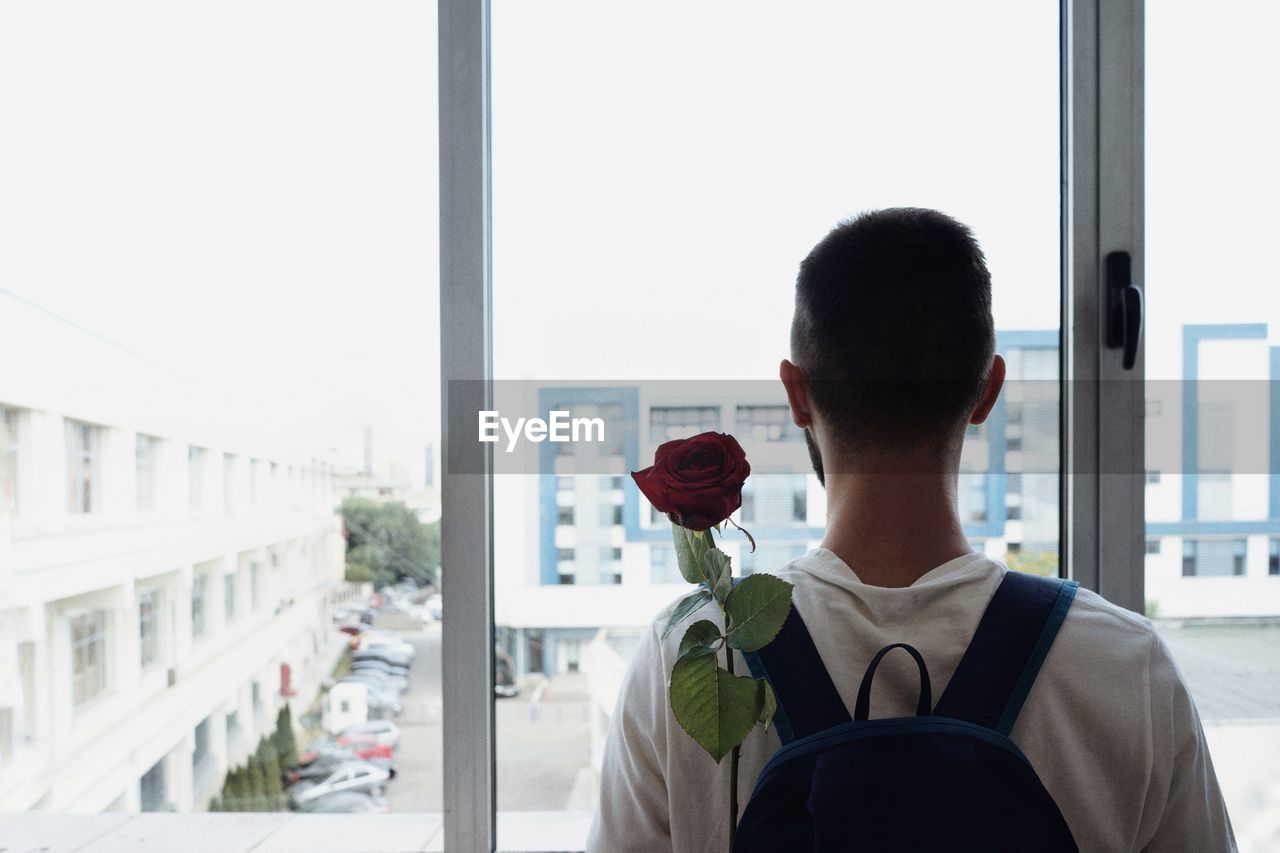 Rear view of man with red rose against window
