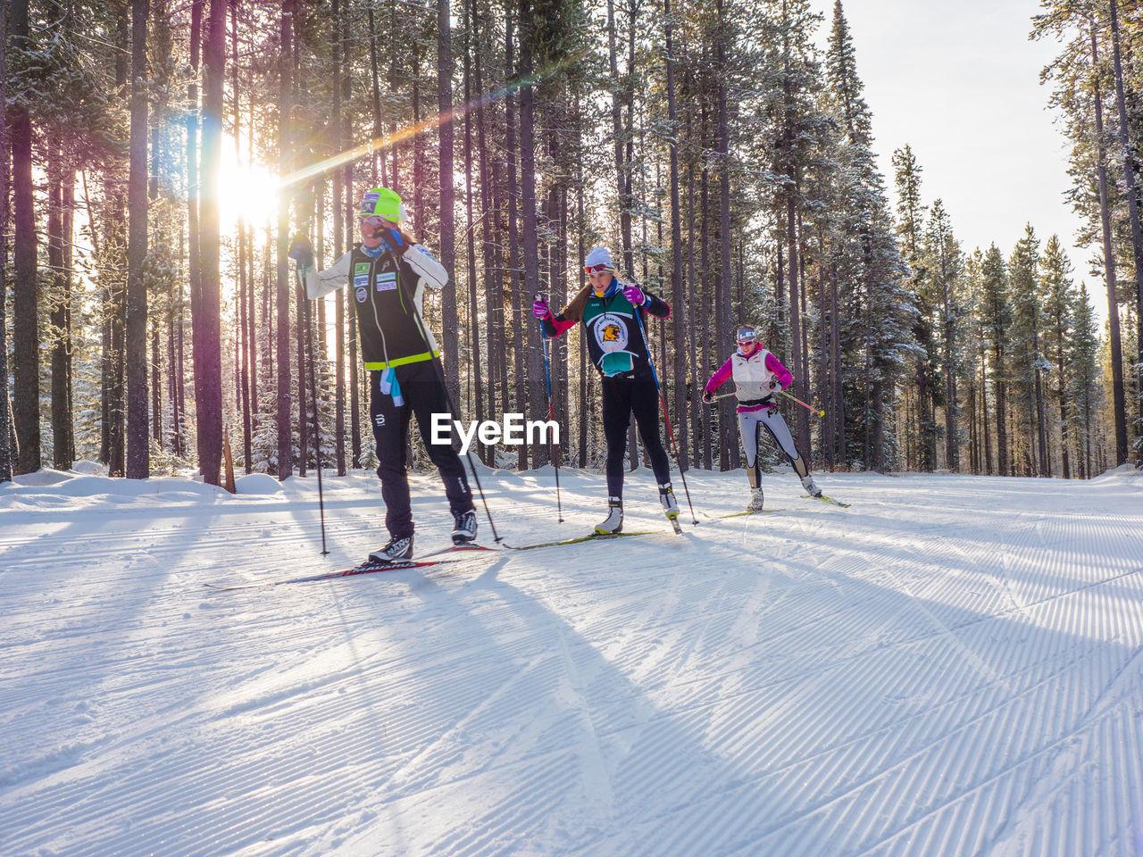 PEOPLE WALKING ON SNOW COVERED TREES