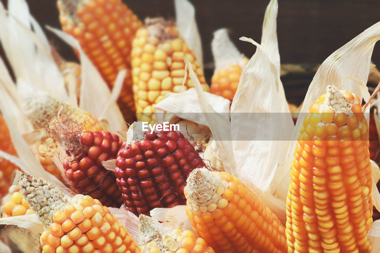 food, food and drink, corn, vegetable, corn kernels, healthy eating, sweet corn, dish, freshness, wellbeing, crop, agriculture, no people, market, food grain, vegetarian food, cereal plant, yellow, fruit, close-up, produce, nature, retail, cuisine, organic, variation, outdoors