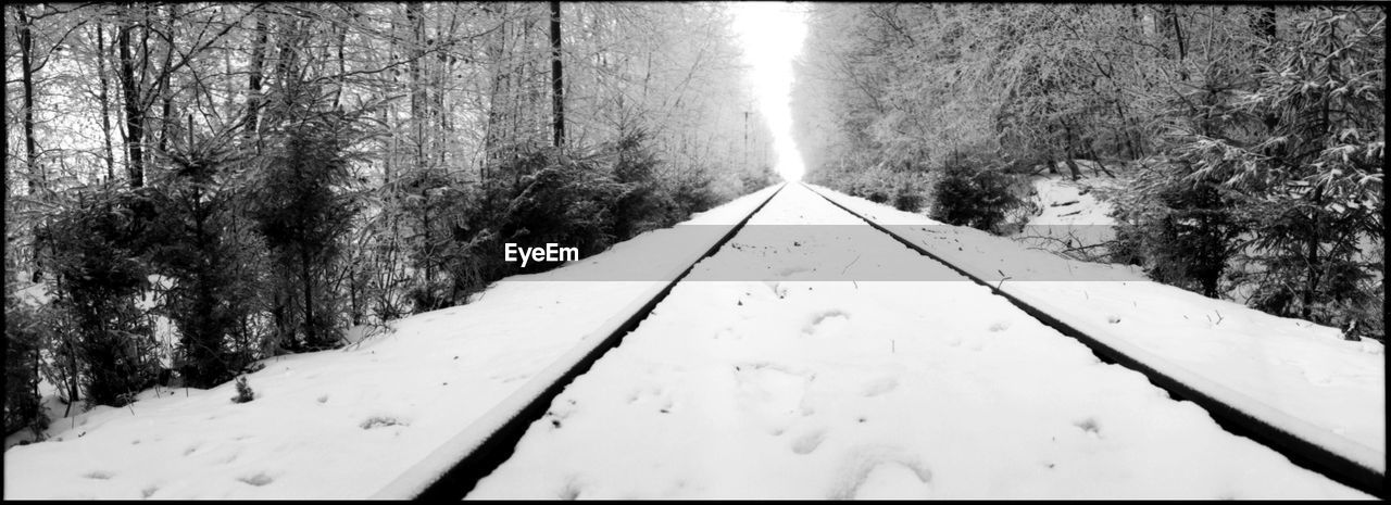 Panoramic shot of snow covered railroad track amidst trees