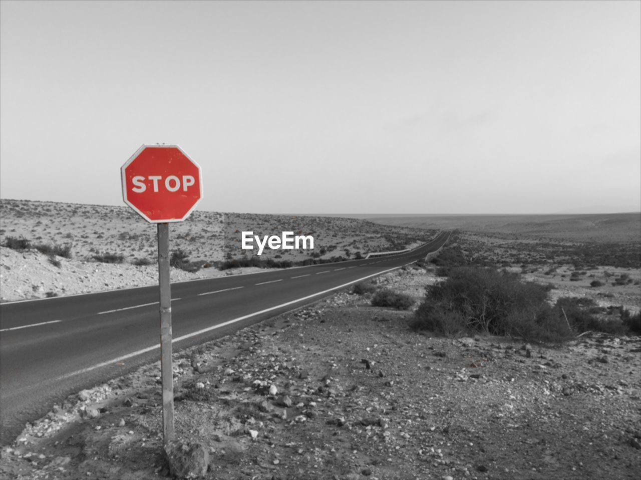 Stop sign on field by empty road against clear sky