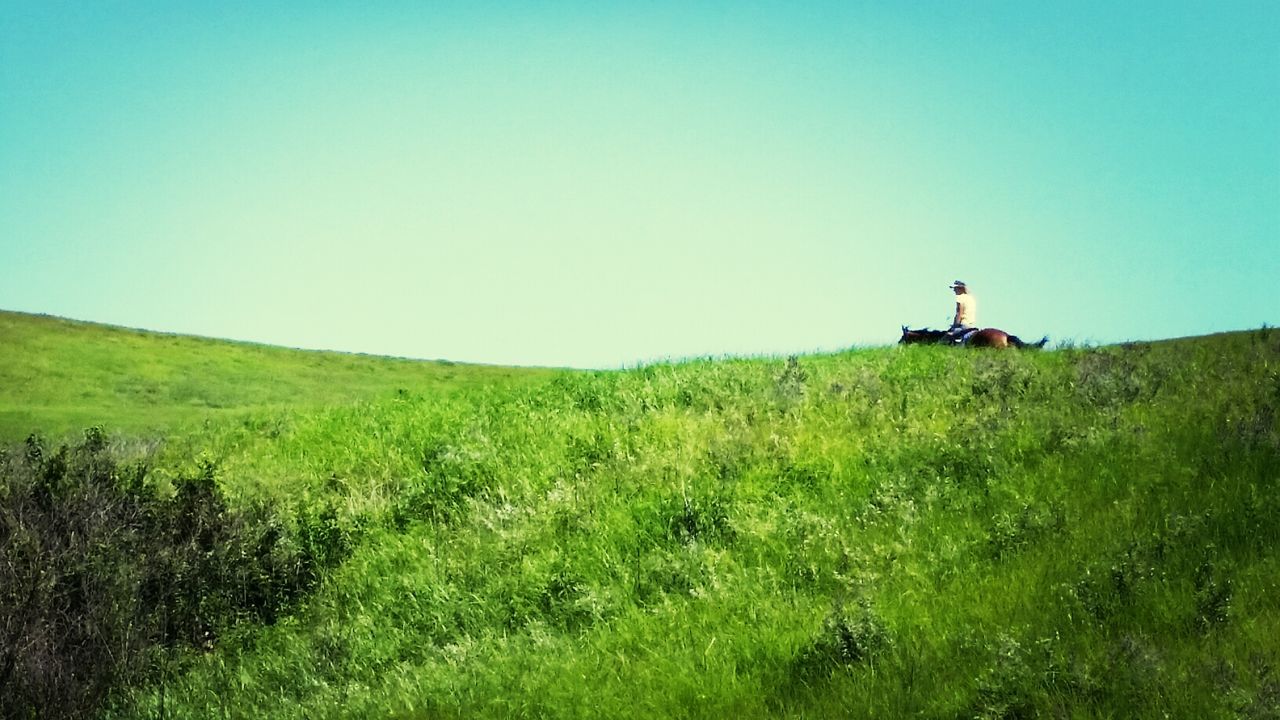 SCENIC VIEW OF GRASSY LANDSCAPE AGAINST BLUE SKY
