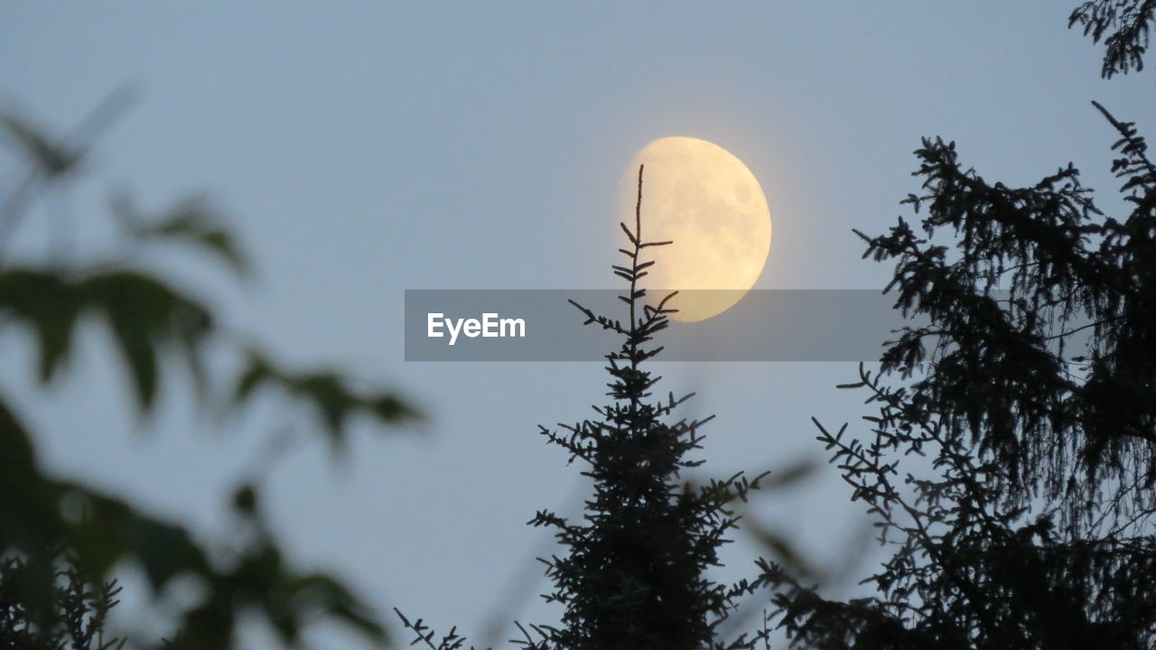 Majestic moon