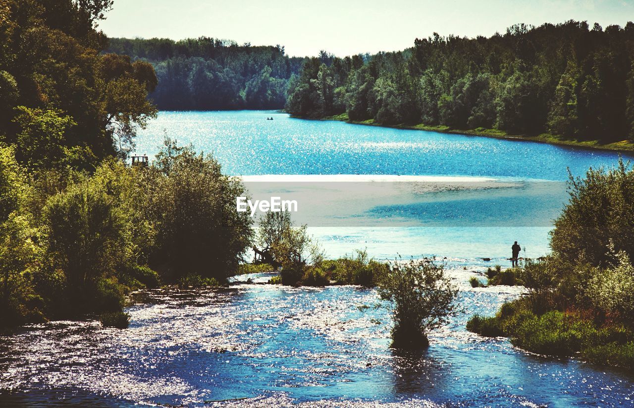 Scenic view of river in forest against sky