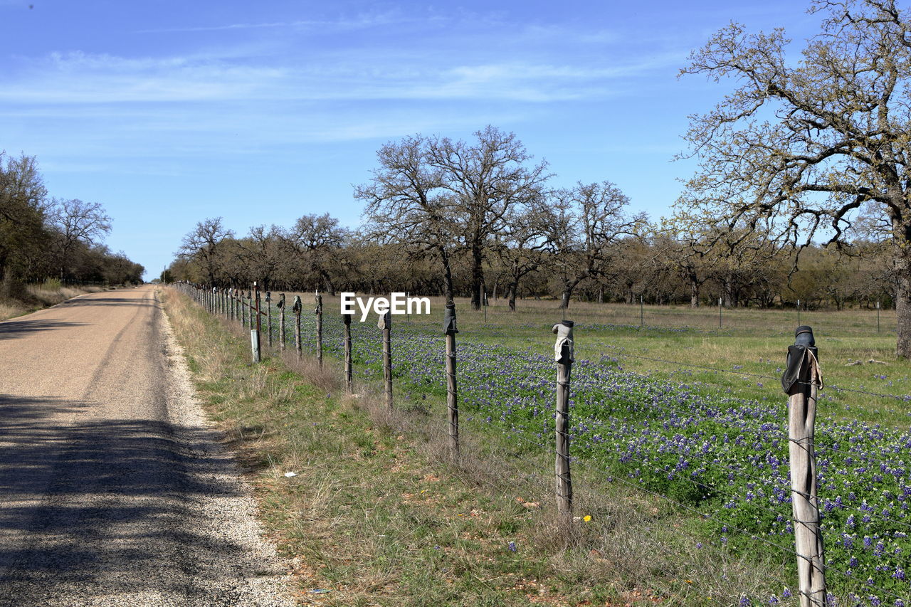 Rural road