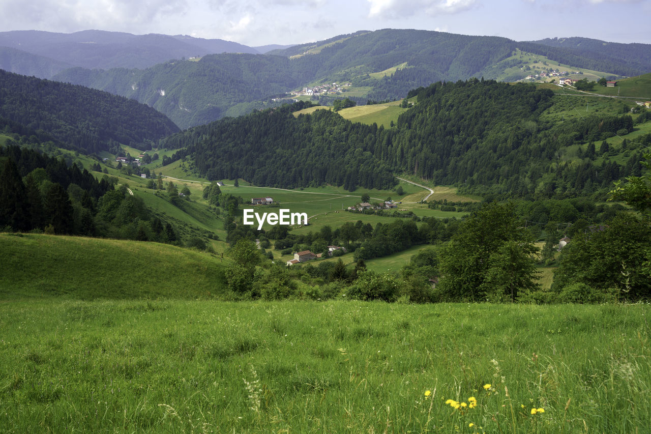 scenic view of field and mountains