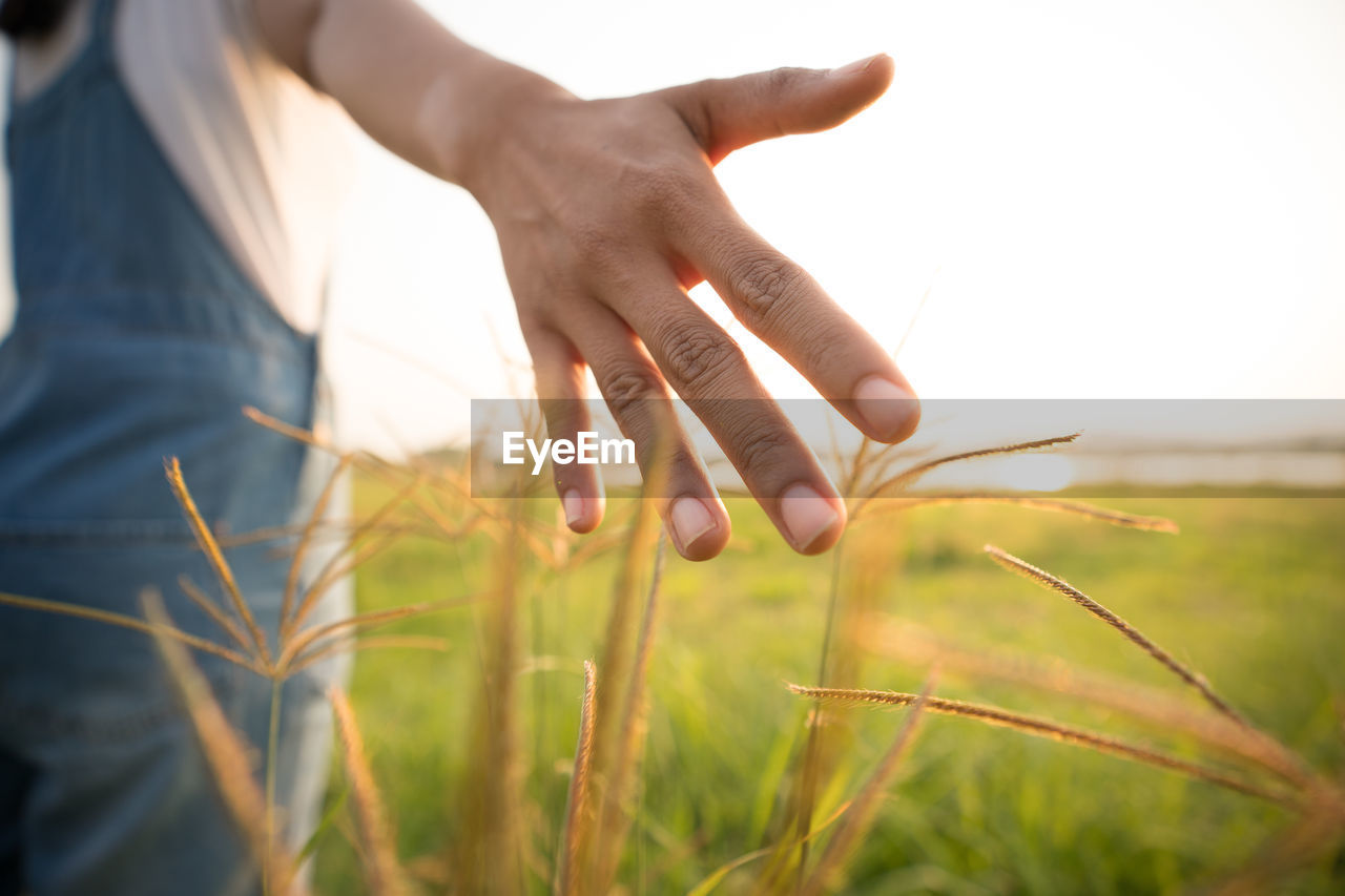 CLOSE-UP OF HAND ON FIELD