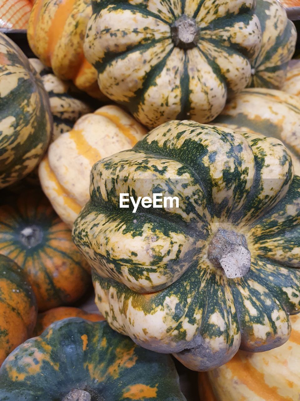 Winter squash batch close-up shot / macro