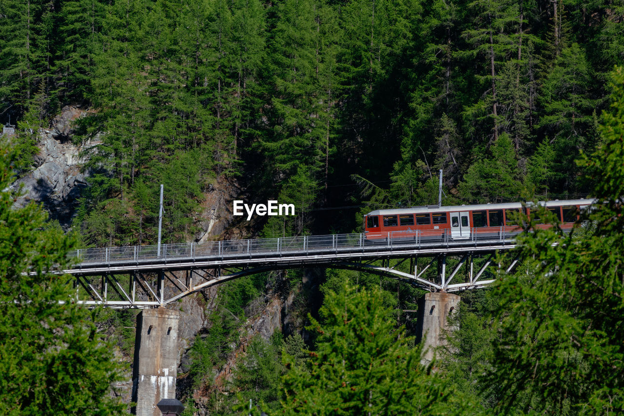 View of gornergrat bahn over findelbachbrucke bridge with waterfall and pine vegetation, swiss alps