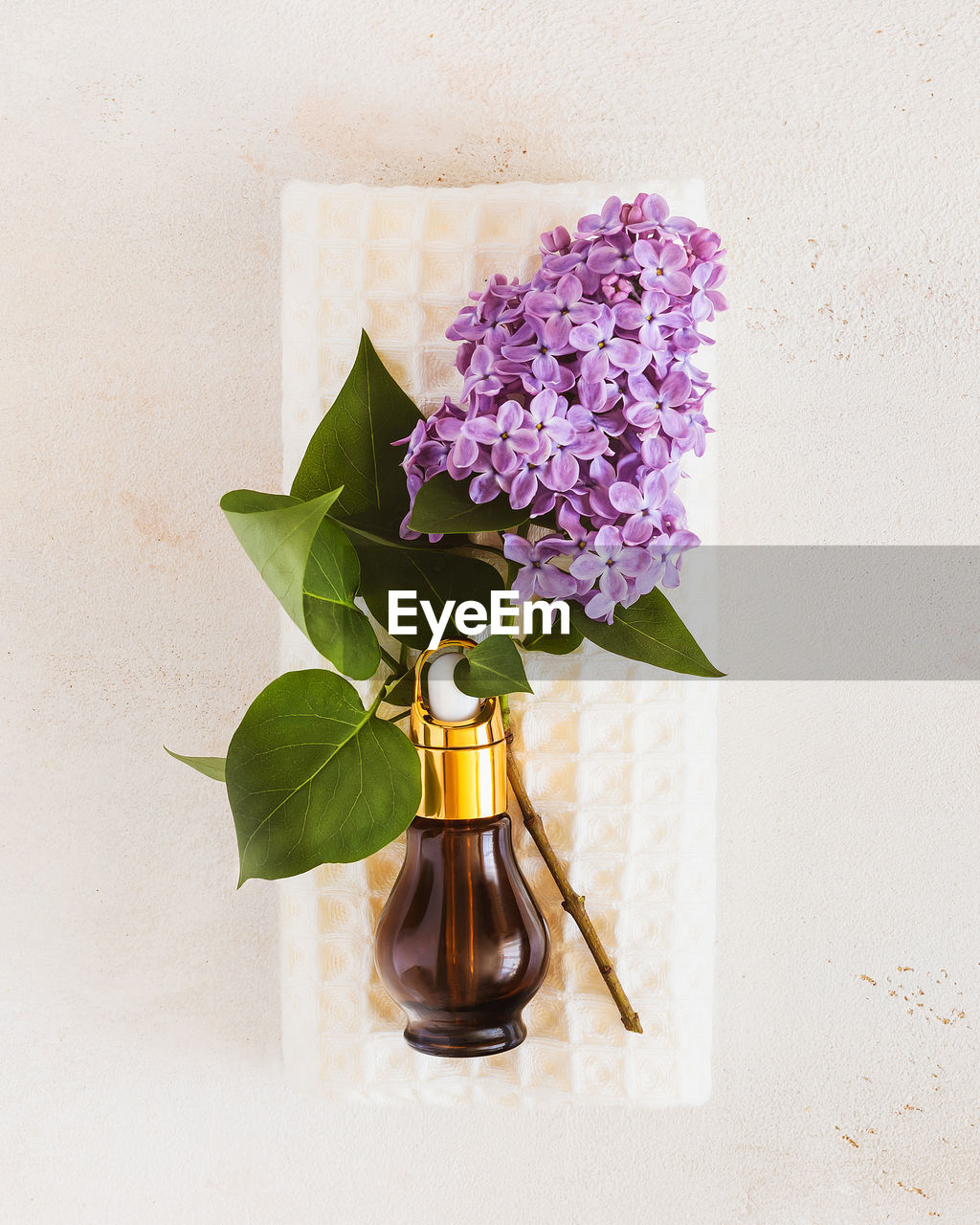 Fresh sprig of lilac and bottle with cosmetic oil on a white towel on a light background