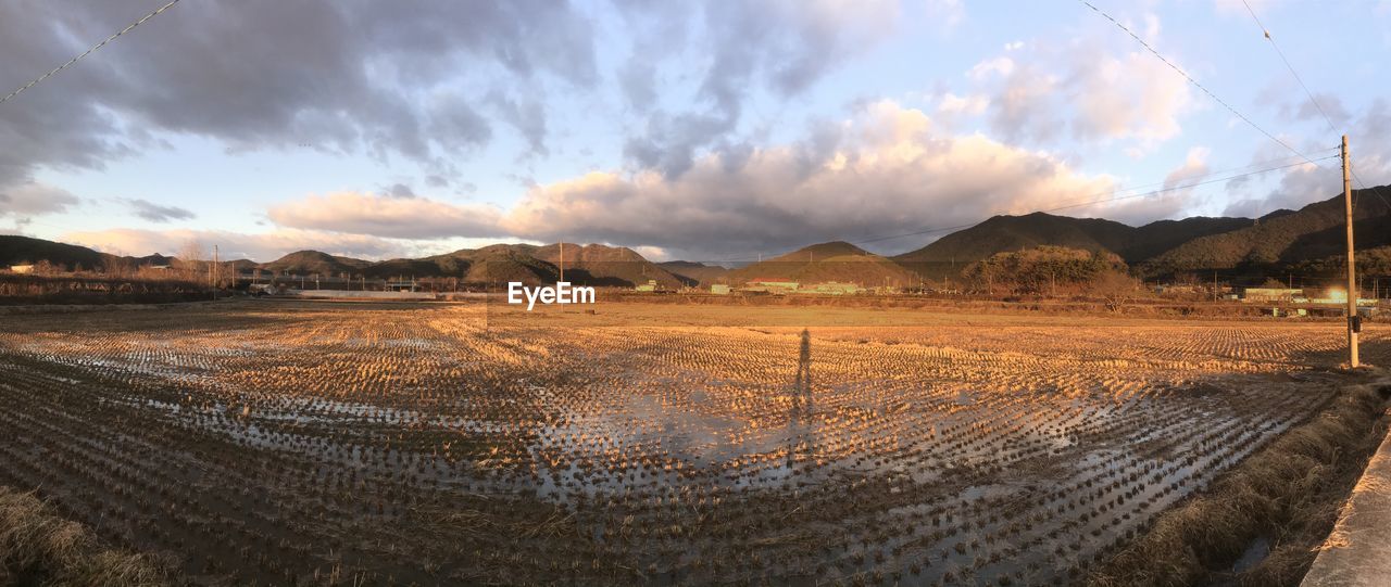 PANORAMIC VIEW OF FARM AGAINST SKY