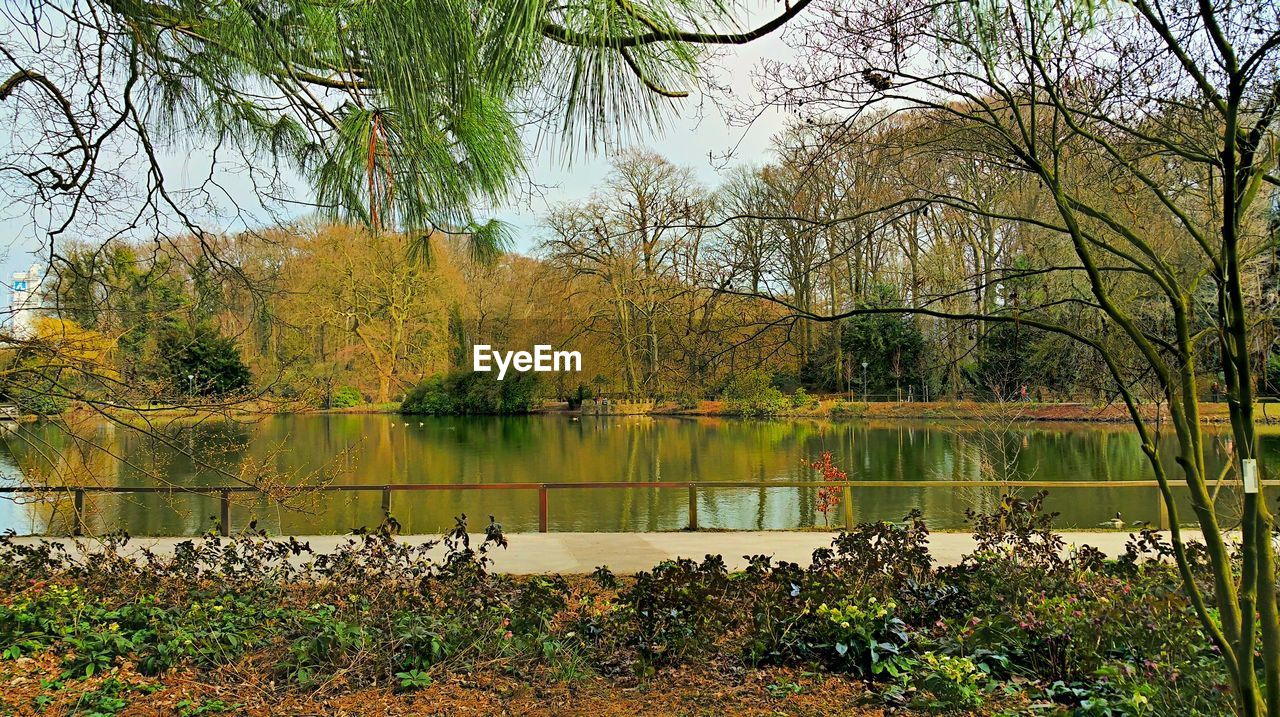 Calm lake with trees in background