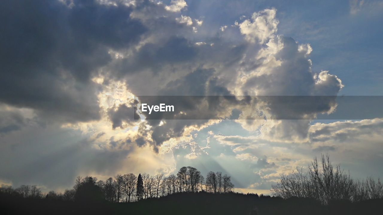 Low angle view of silhouette trees against sky