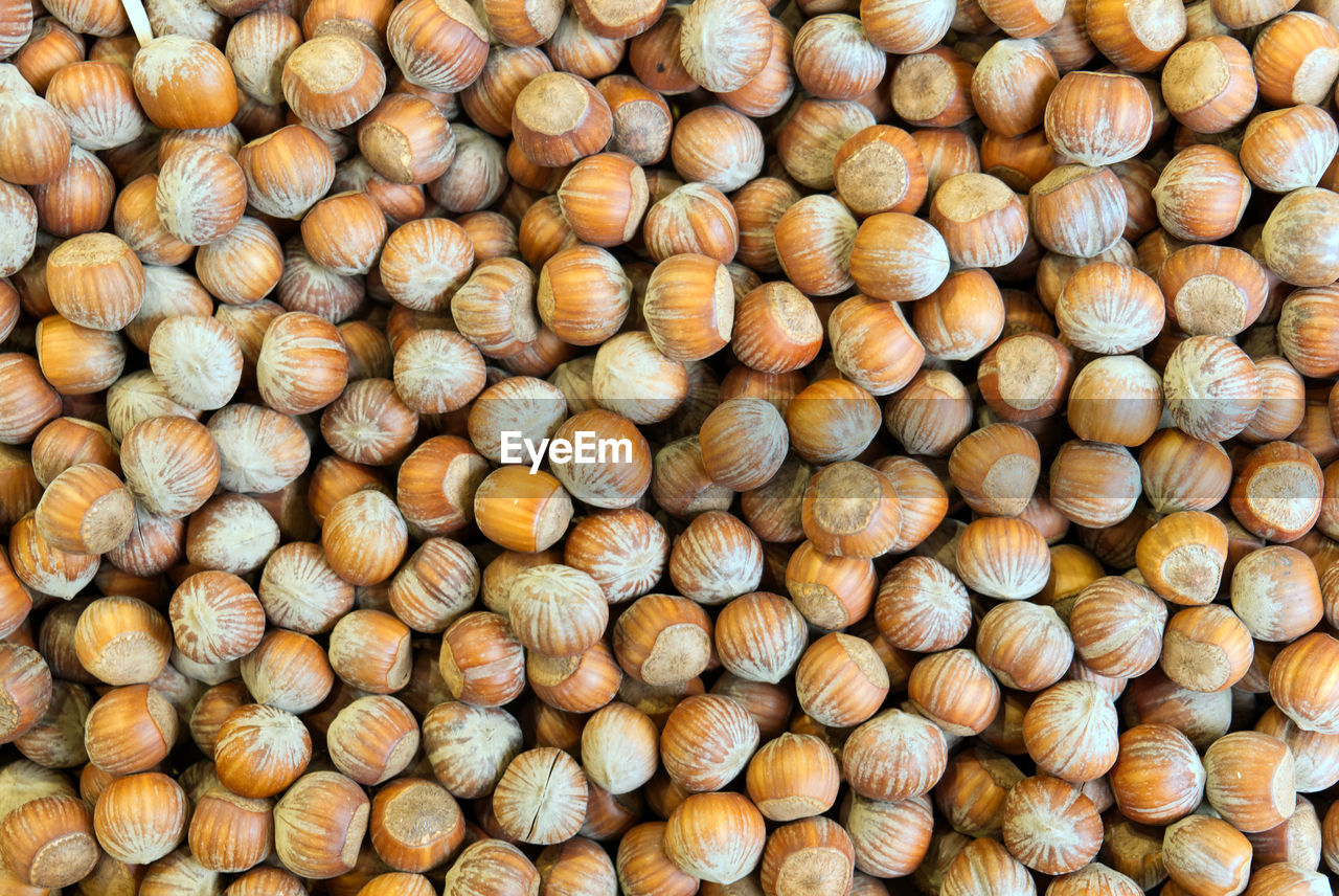 Composition of piedmont igp hazelnuts